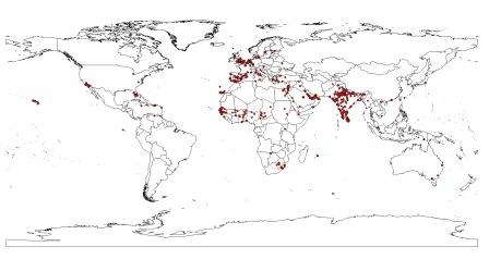 A map showing the occurences of P. krameri downloaded from GBIF