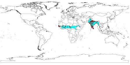 The occurences of P. krameri after the removal of occurrences falling outside the native range