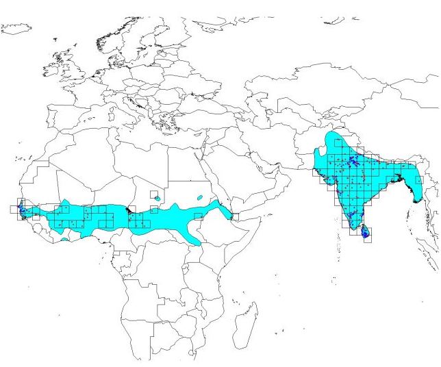 Fig 2.3