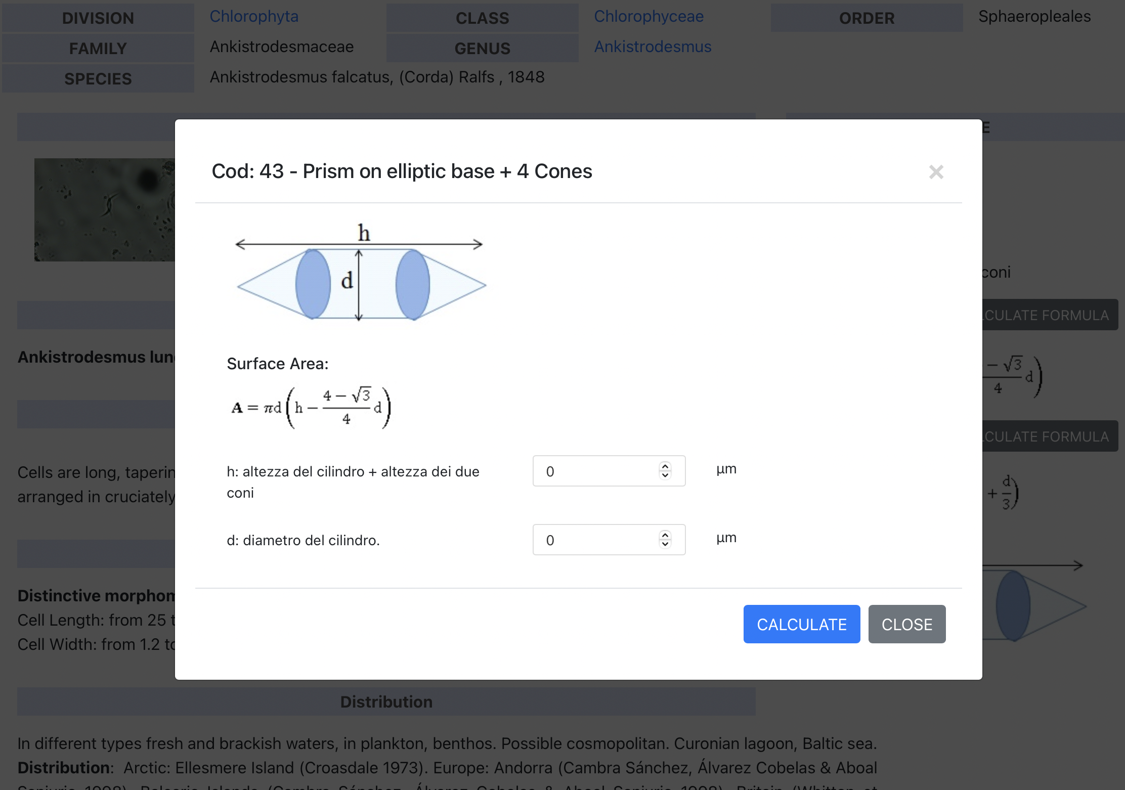 Formula pop-up window for calculation