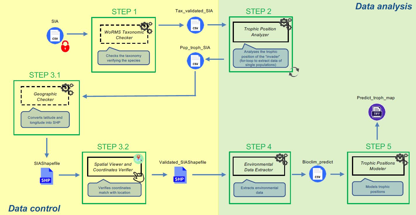 Workflow diagram
