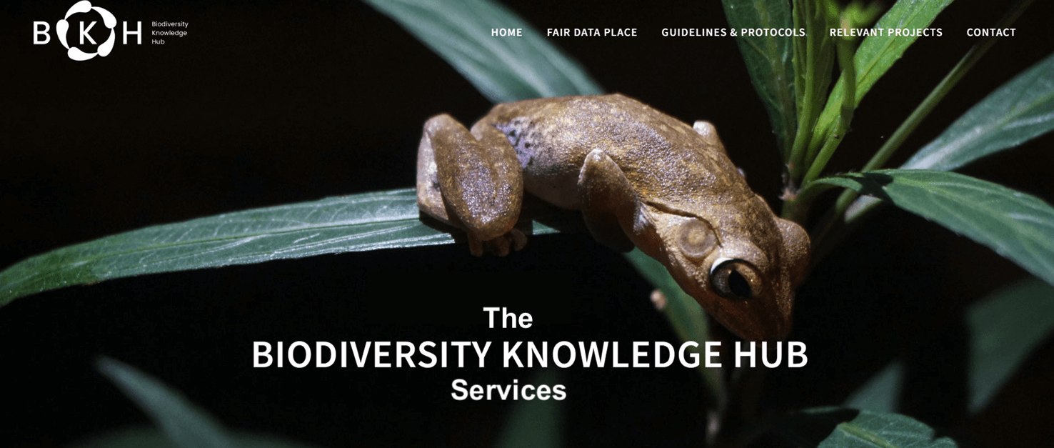 BKH Services Overview