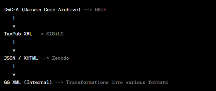Data flow representation from GG XML to specific formats