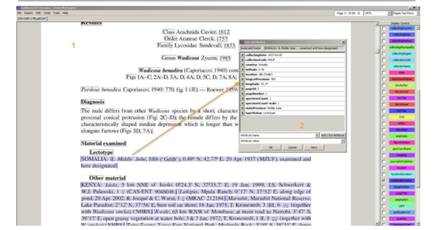 GoldenGate Imagine editor User Interface