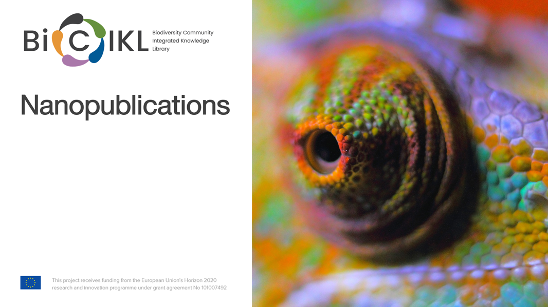 Nanopublications Landscape presentation