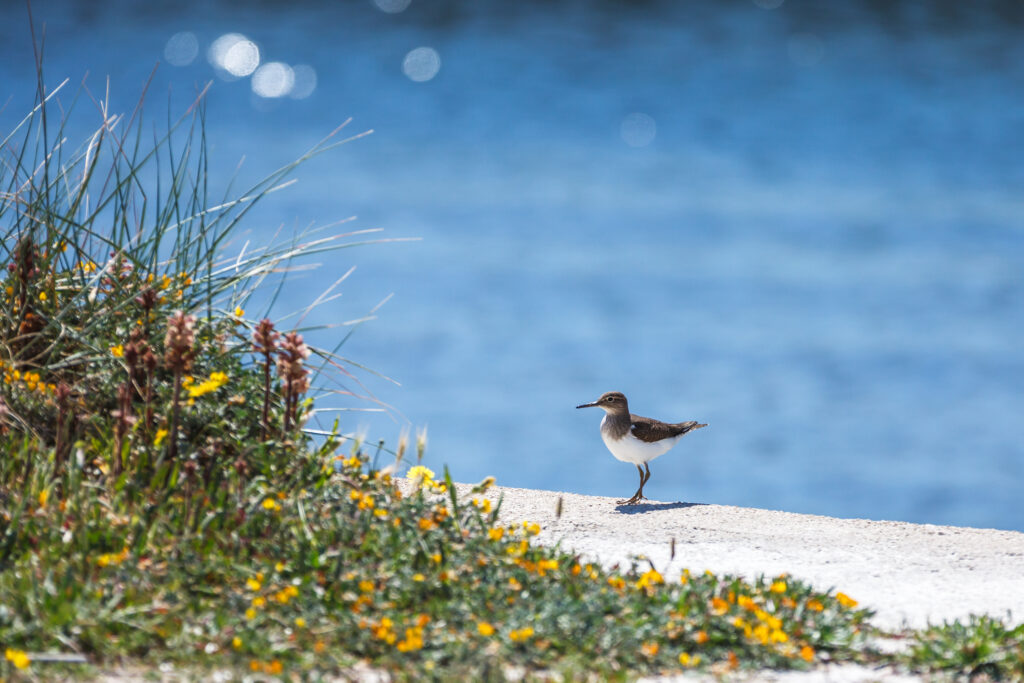 4_home_carousel_MM_20150429_Acquatina_019-1024x683