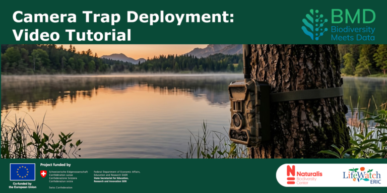 Camera Trap Deployment - Video Tutorial